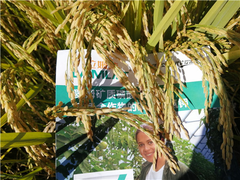 水溶肥，磷酸二氫鉀，