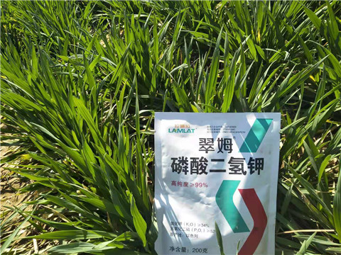 磷酸二氫鉀，葉面肥，拉姆拉