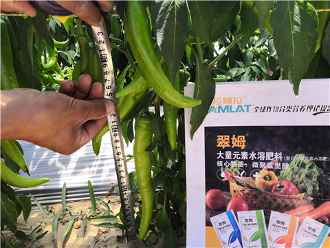 微生物菌劑，復合肥料，拉姆拉
