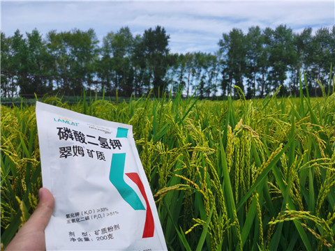 磷酸二氫鉀，拉姆拉，翠姆