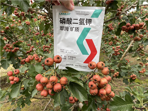 磷酸二氫鉀，拉姆拉，翠姆