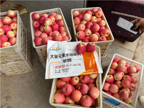 水溶肥，大量元素水溶肥，翠姆，拉姆拉