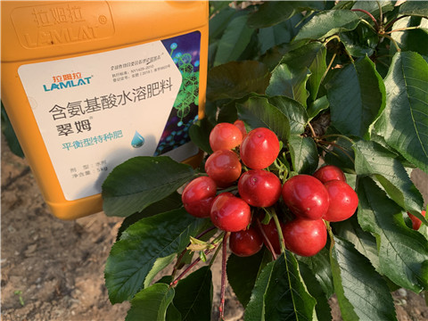 氨基酸水溶肥，拉姆拉，翠姆
