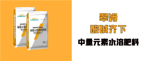 水溶肥，拉姆拉，翠姆