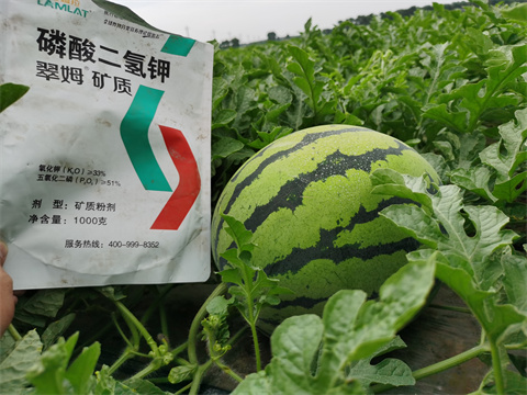 水溶肥，翠姆，拉姆拉