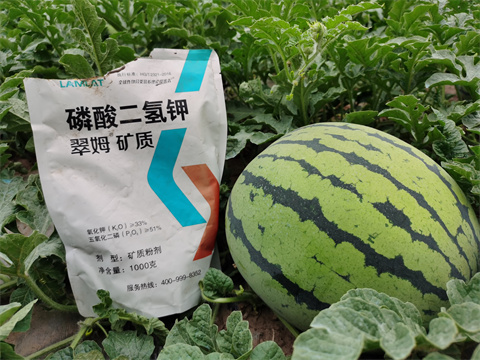 水溶肥，翠姆，拉姆拉