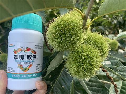 水溶肥品牌,板栗?；ū９?翠姆雙保